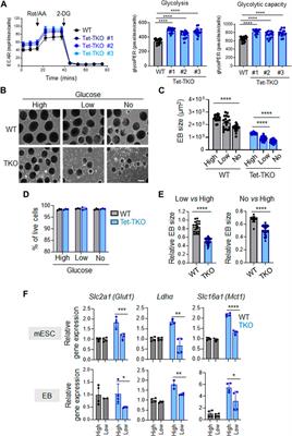 Enhanced glucose metabolism in Tet-deficient mouse embryonic stem cells